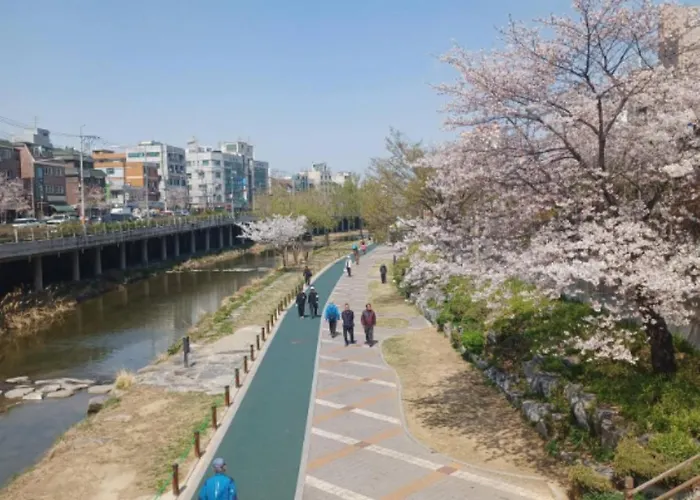 B&B 비앤비 405 서울특별시